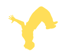 Freestyle Acrobatics